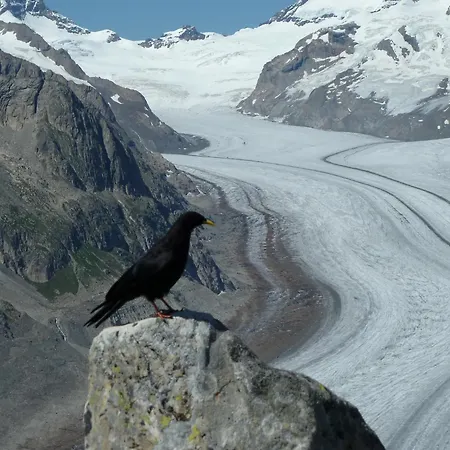 In Wiler Near Lift & Views Chalet