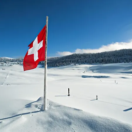 In Wiler Near Lift & Views Chalet Fiesch