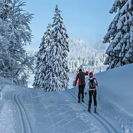 In Wiler Near Lift & Views Chalet *