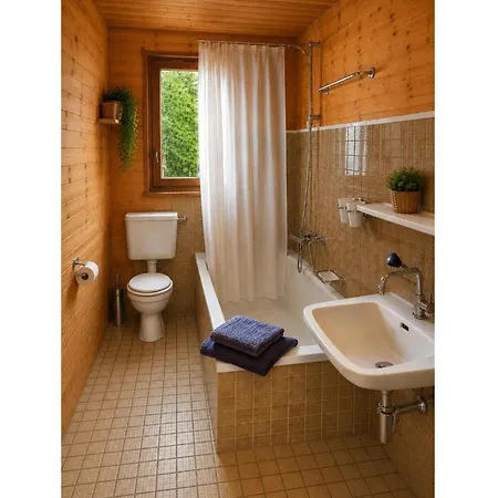 In Wiler Near Lift & Views Chalet Fiesch