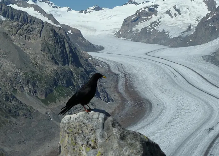 In Wiler Near Lift & Views Chalet