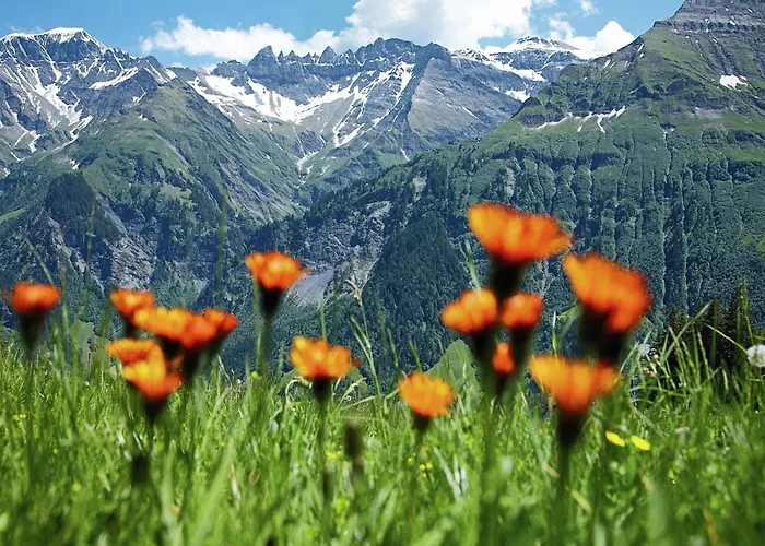 In Wiler Near Lift & Views Chalet *