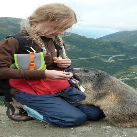 In Wiler Near Lift & Views Fiesch